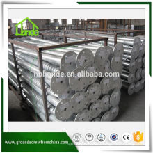 China Factory Ground Pole Screw